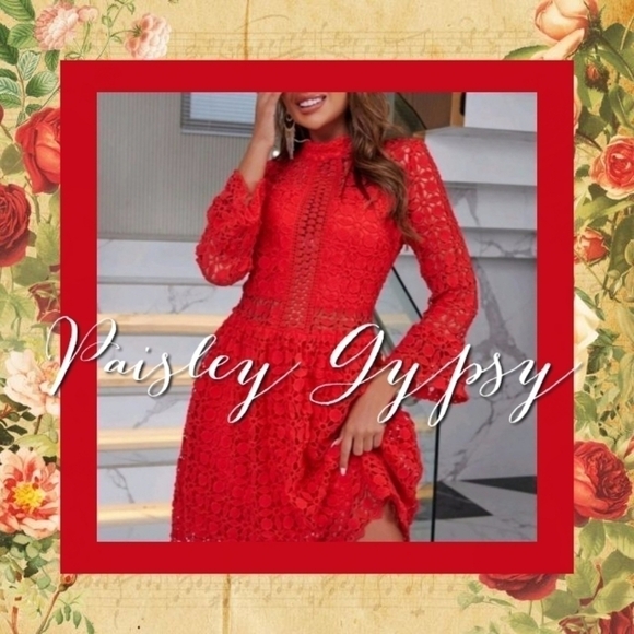 PREMIUM BRANDED LACE DRESS - Picture 1 of 13